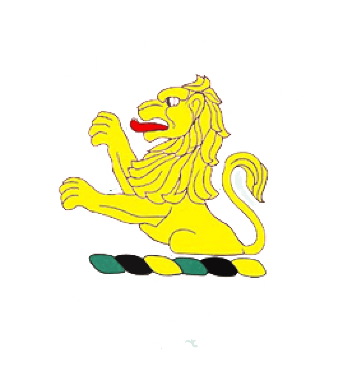 Mackay Lions Soccer Club